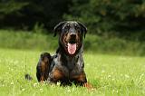 BEAUCERON 796